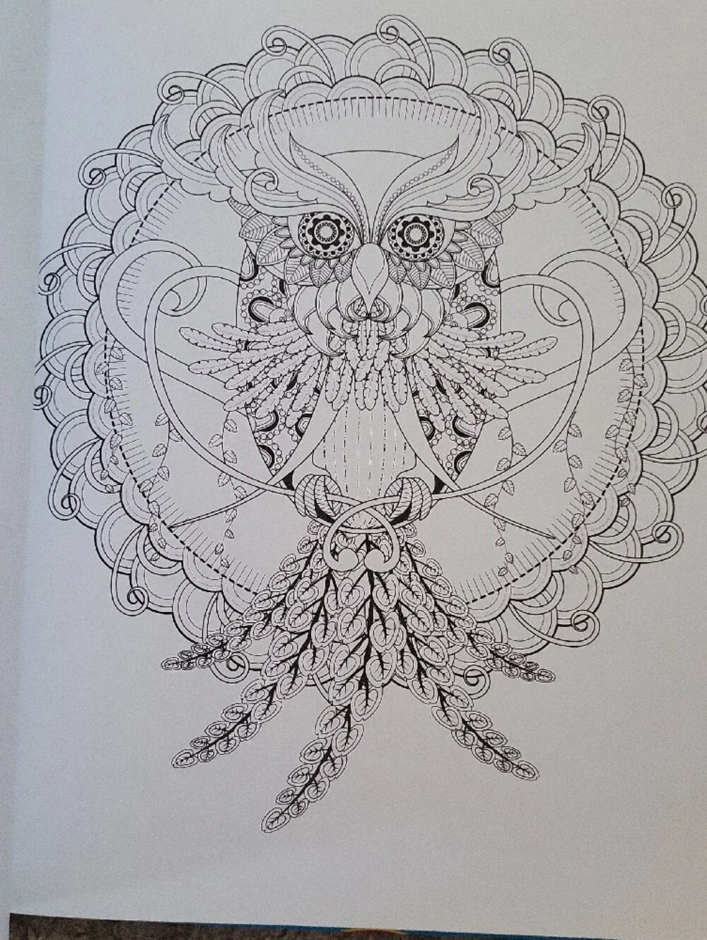 Creative Coloring Book Set